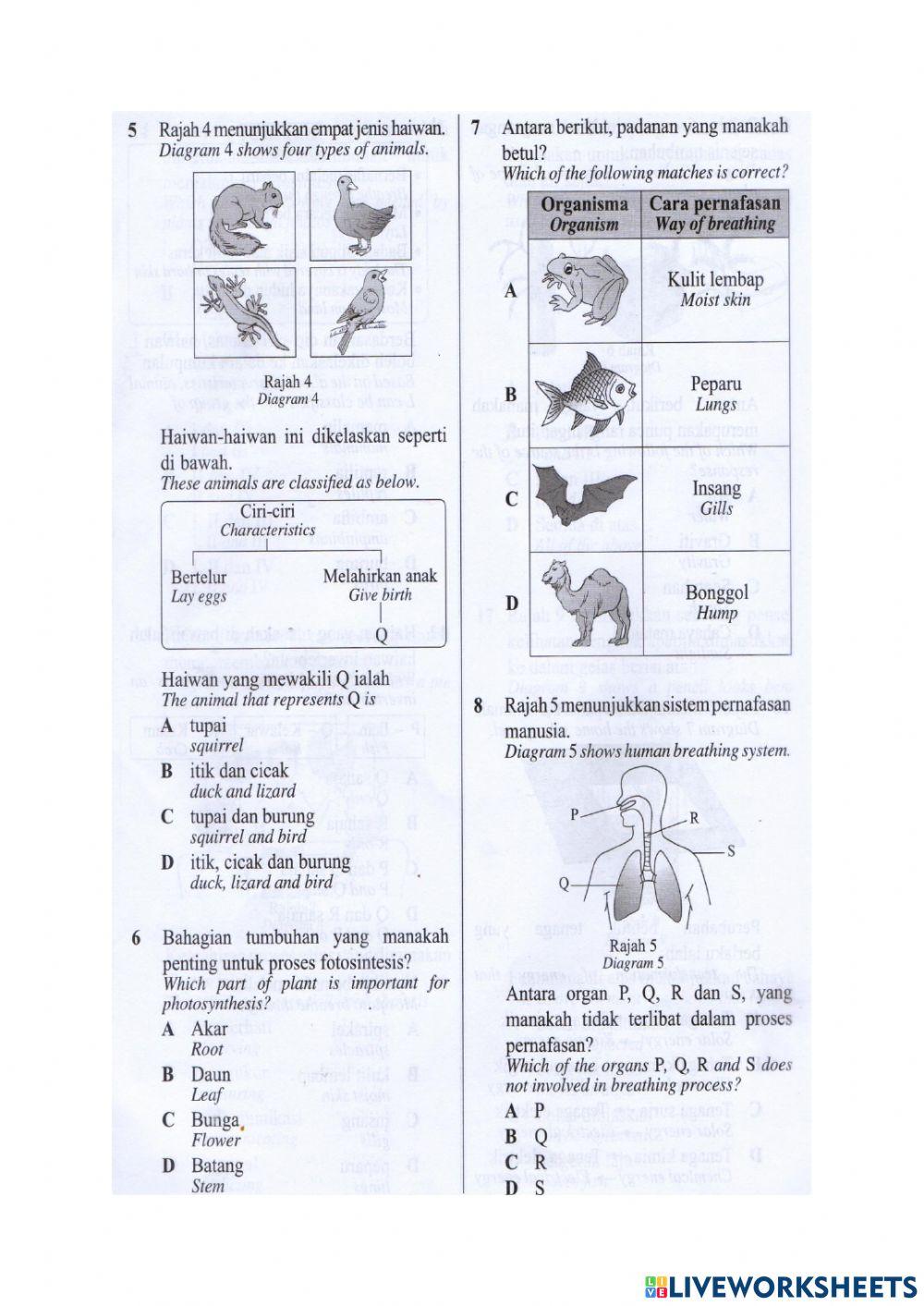 Revision science year 4 (1)