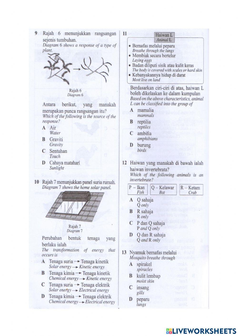 Revision science year 4 (1)