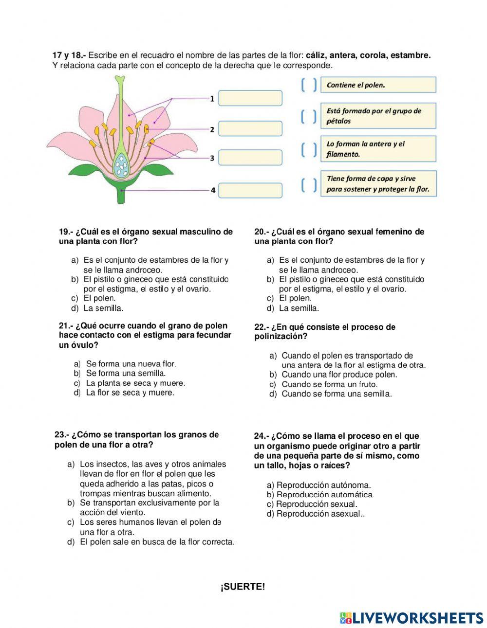 Examen 1er Trimestre Ciencias Naturales