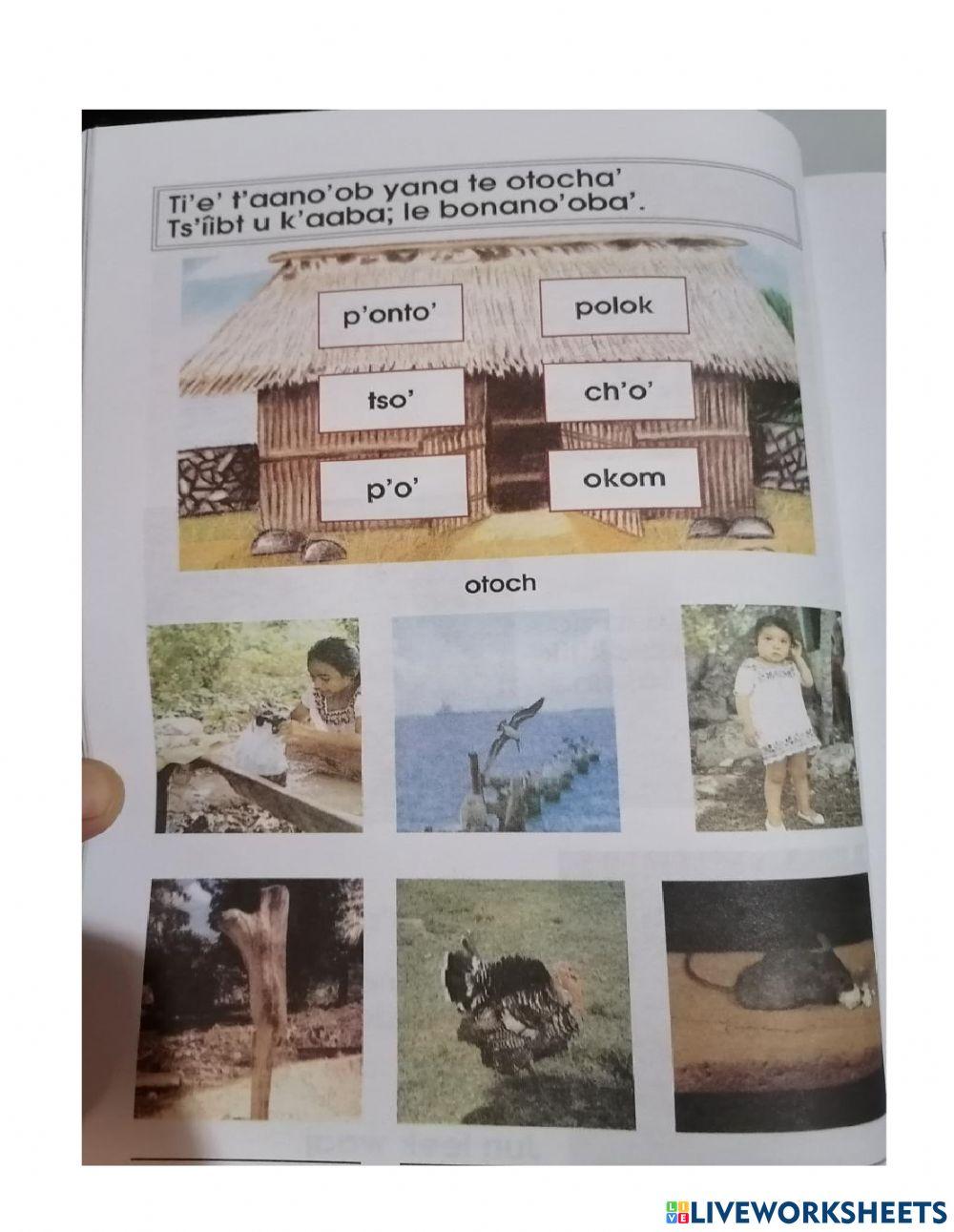 Ejercicios en lengua maya