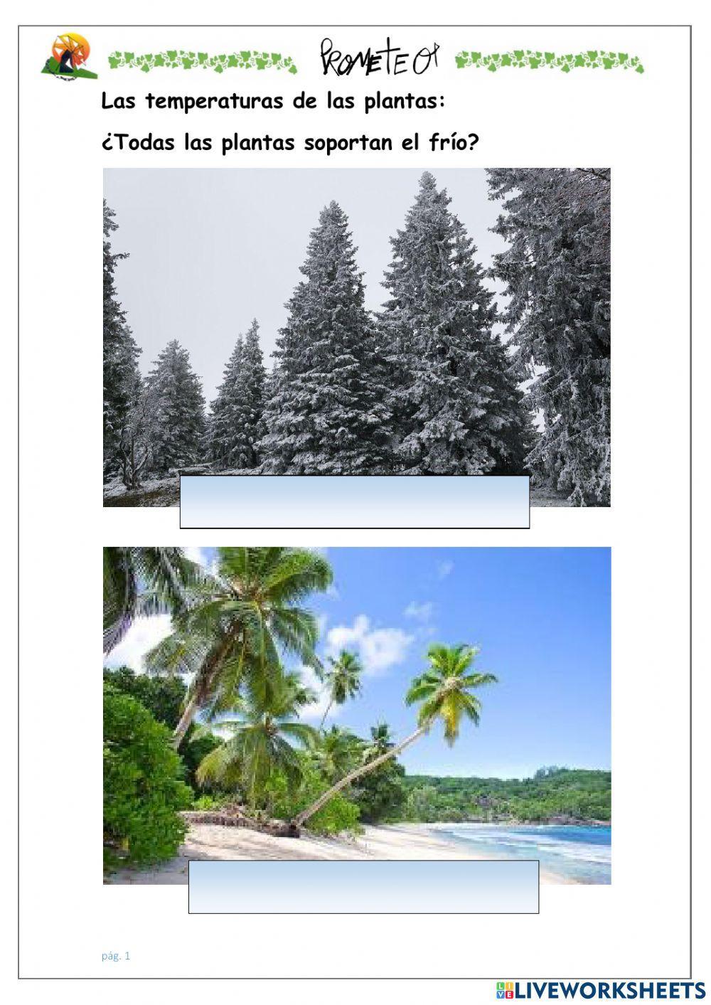 Calor y frío en las plantas