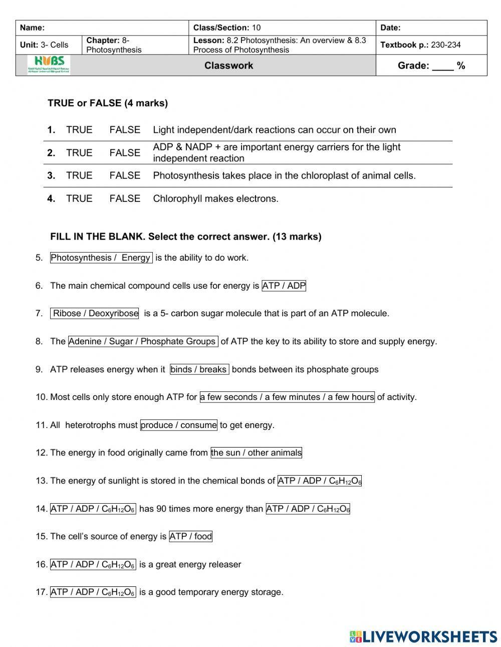 Photosnythesis Intro