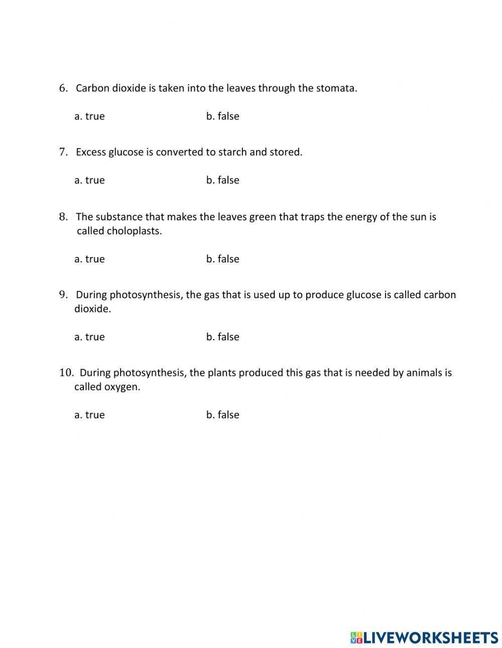 How Do Plants Make Food?