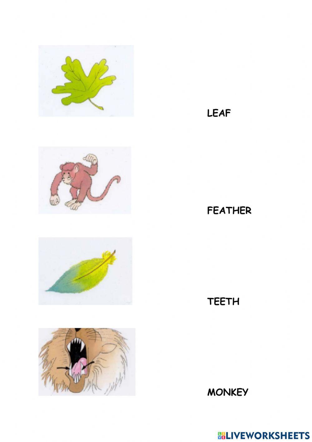 Rat's adventure - join