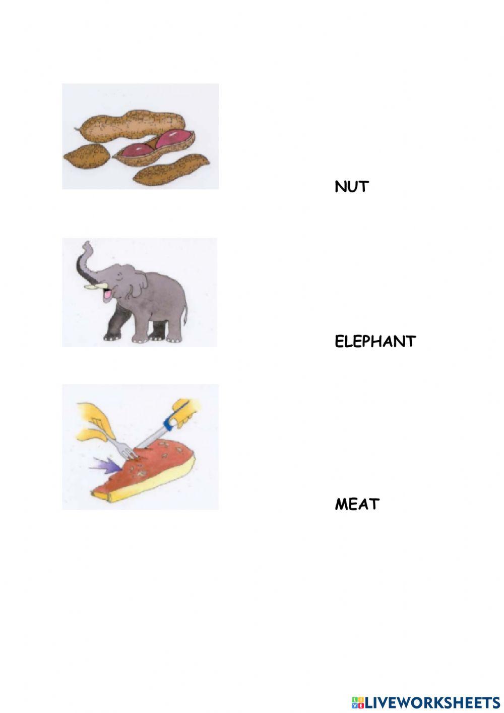 Rat's adventure - join