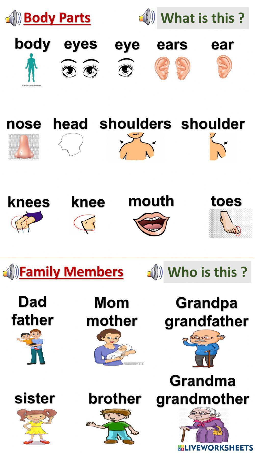 We can 1 revision u123