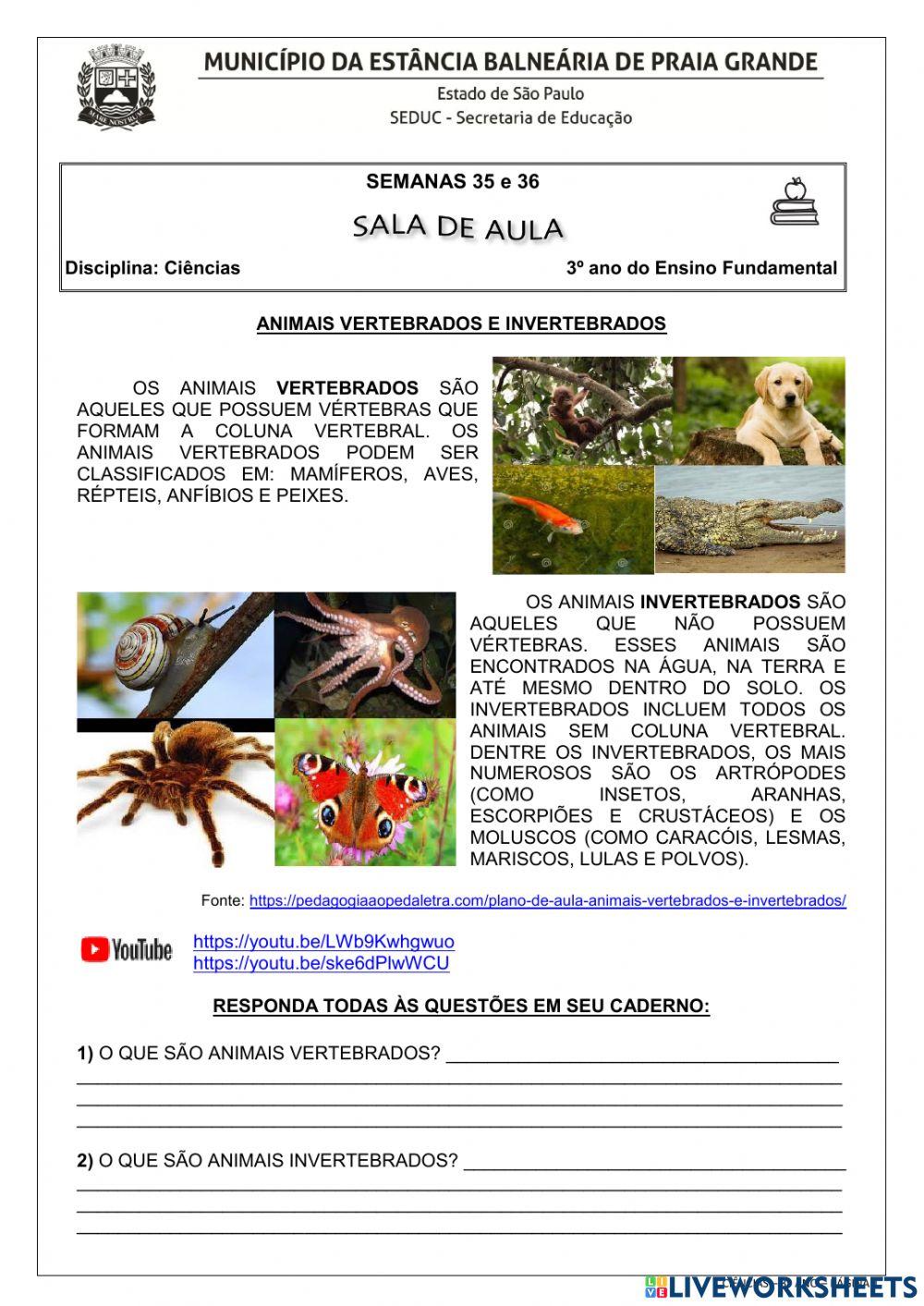 Animais vertebrados e invertebrados