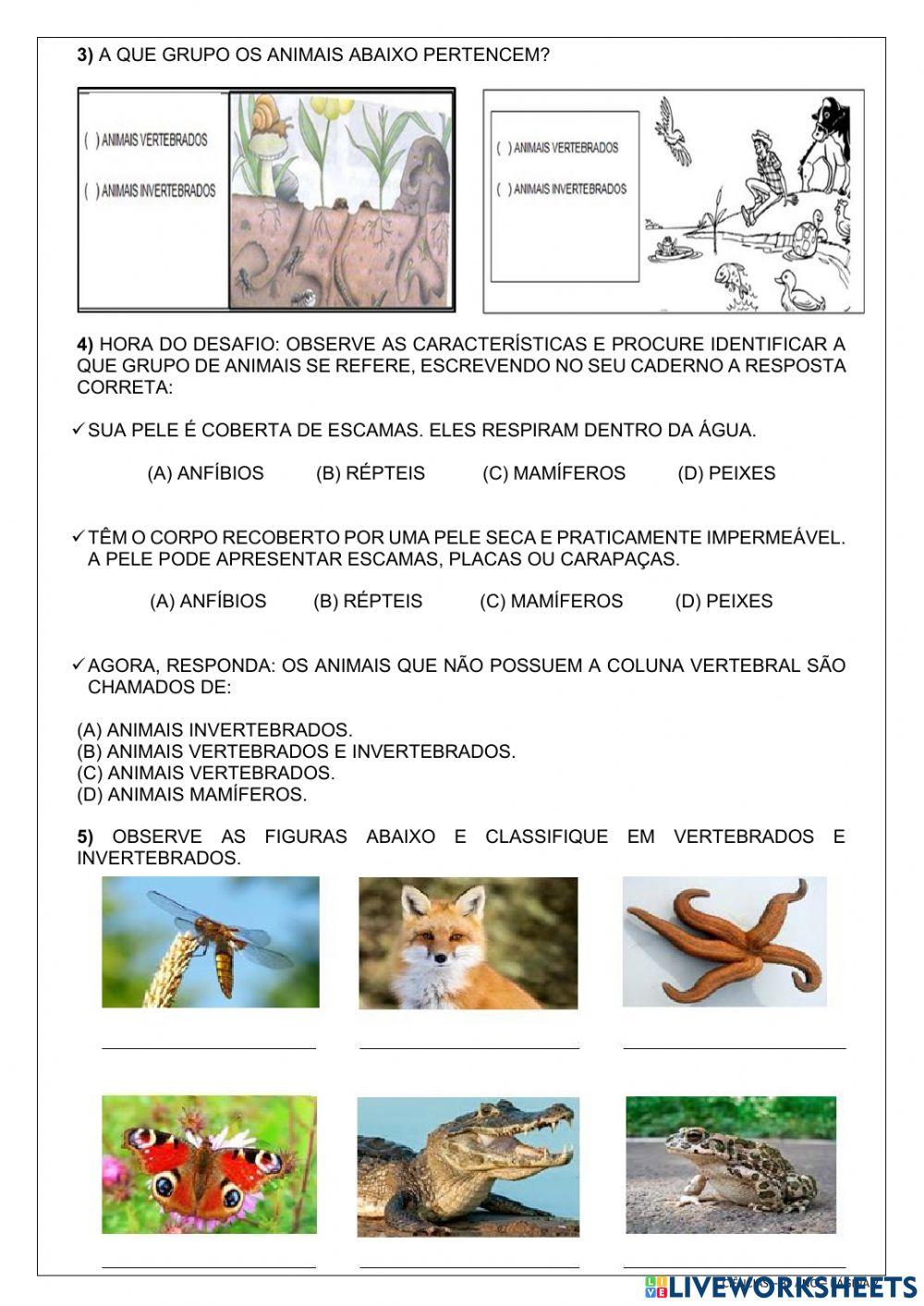 Animais vertebrados e invertebrados