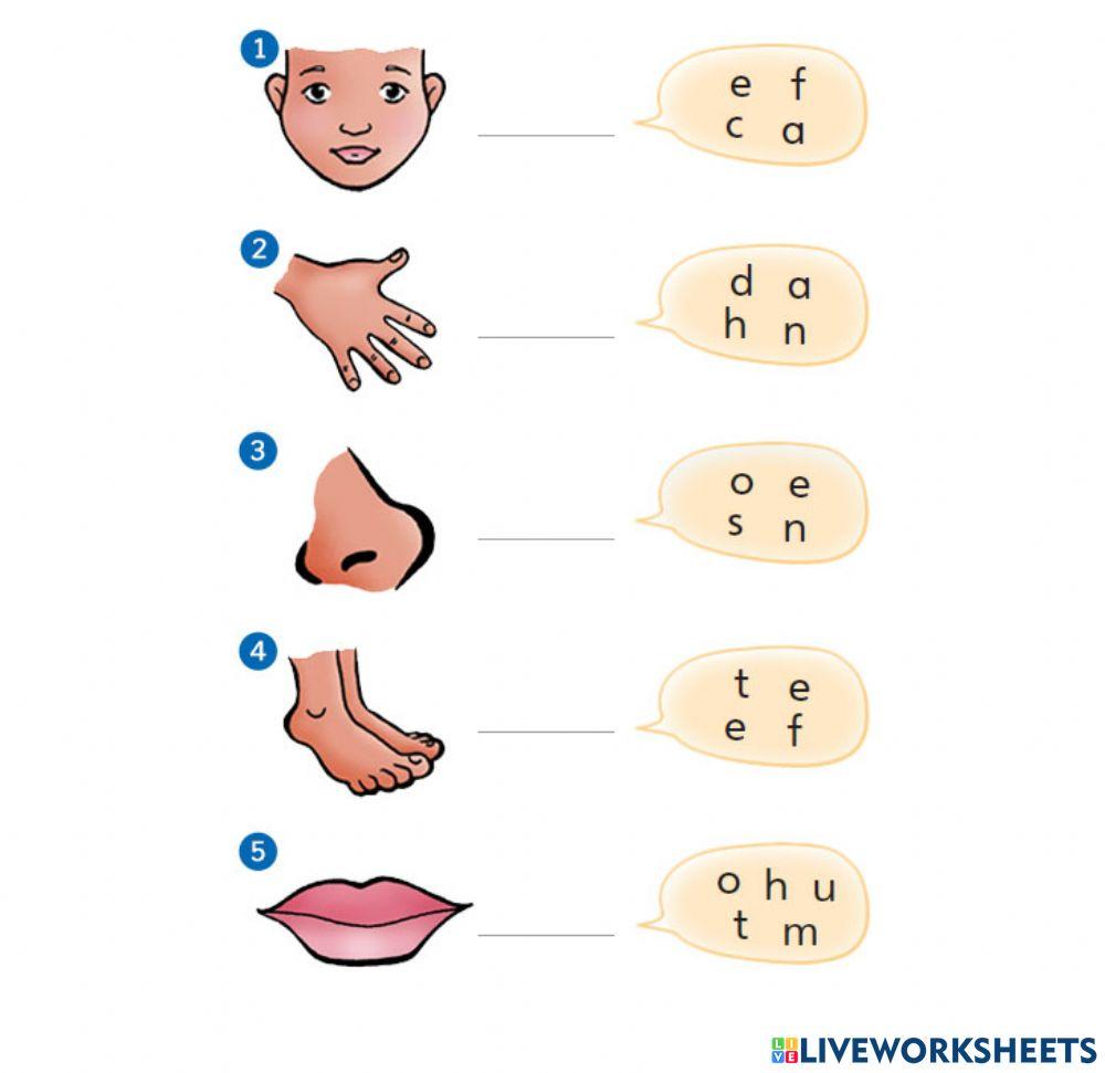Fun for staters  unit 7