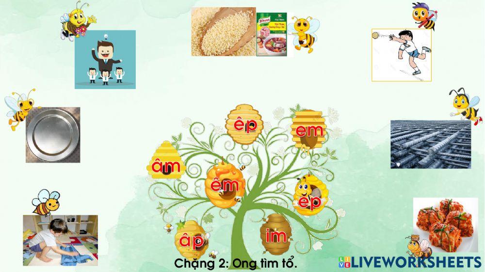 Phiếu ôn tập cuối tuần 8