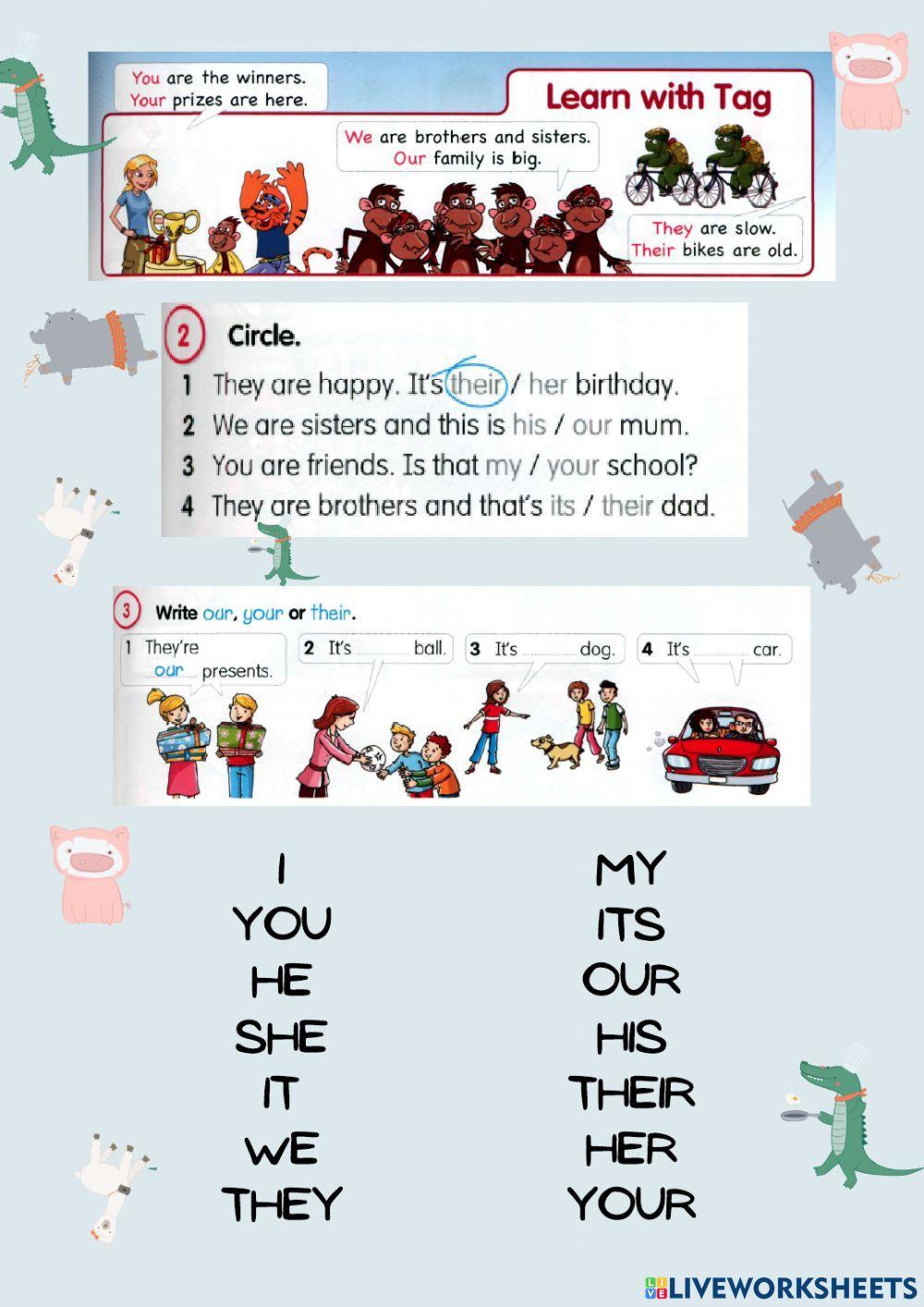 Possesive adjectives OUR THEIR YOUR