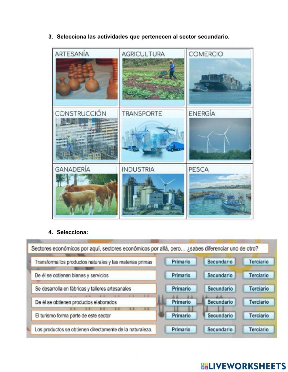 Sectores económicos