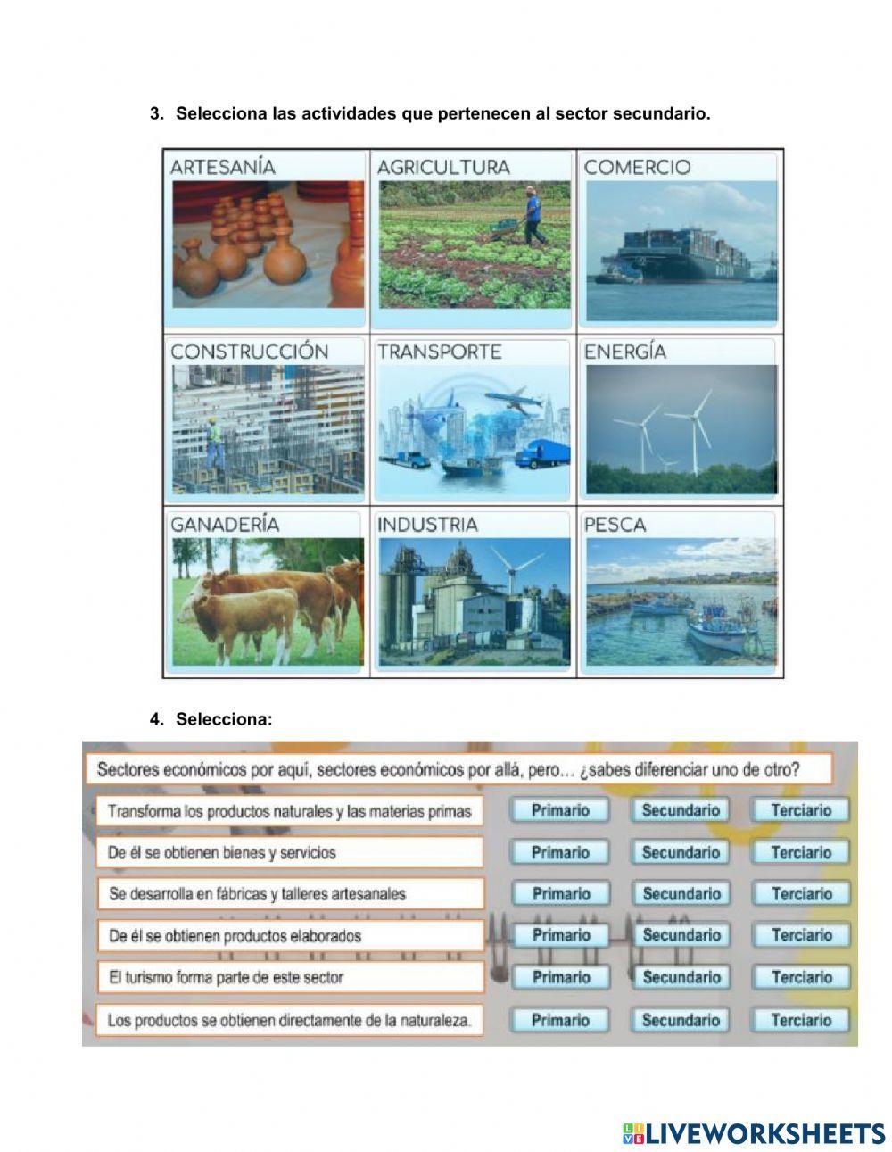 Sectores económicos