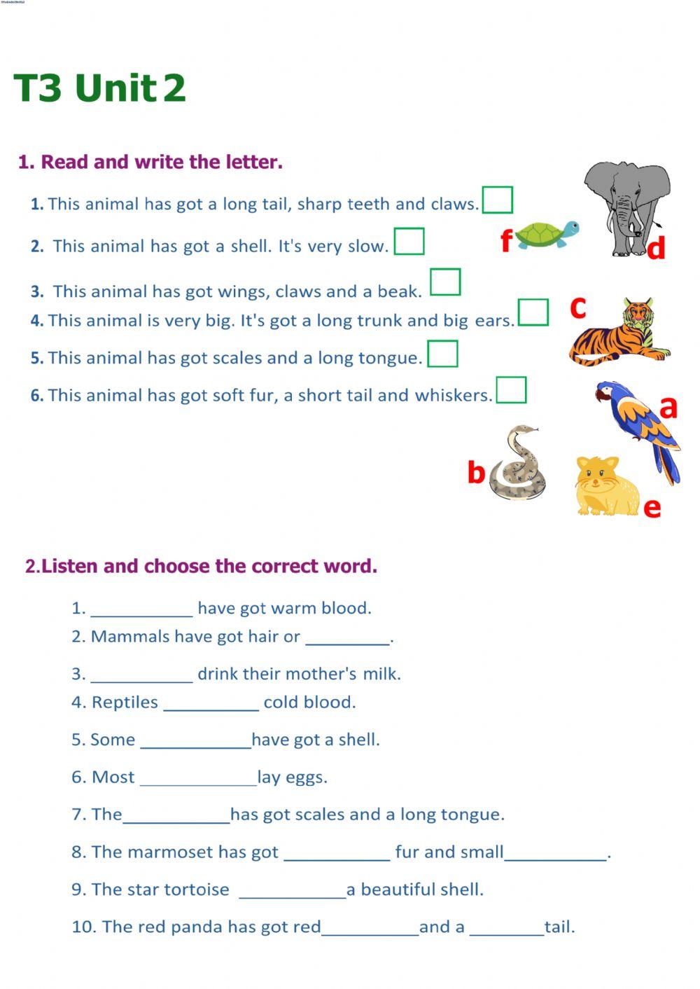 TIGER 3 - UNIT 2 - TEST