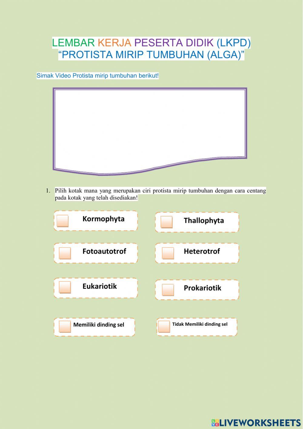 Protista mirip tumbuhan