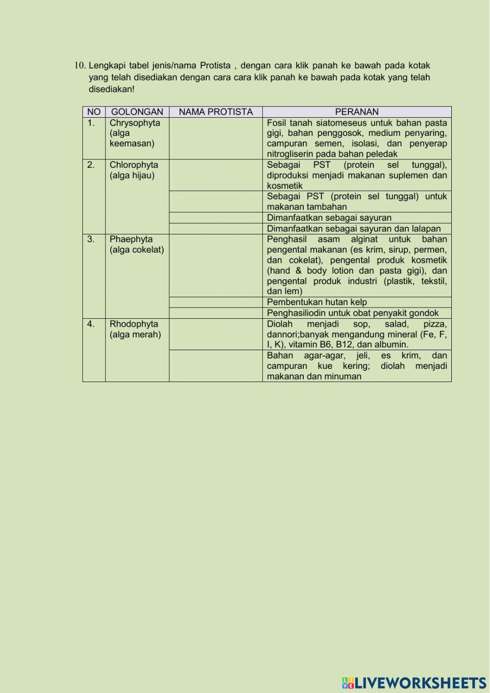 Protista mirip tumbuhan