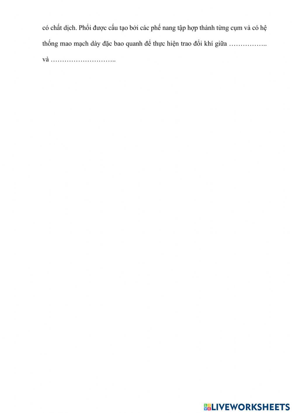 Bài 20: II. các cơ quan hô hấp