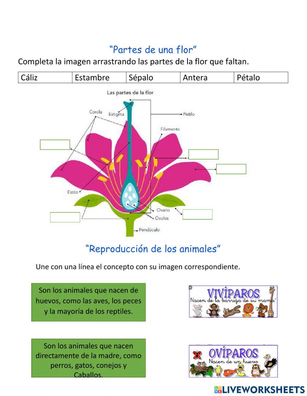 Examen de Ciencias Naturales