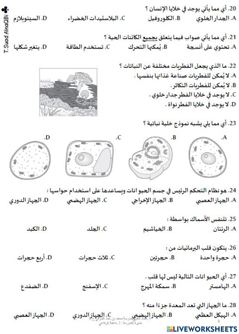 مراجعة عامة 3
