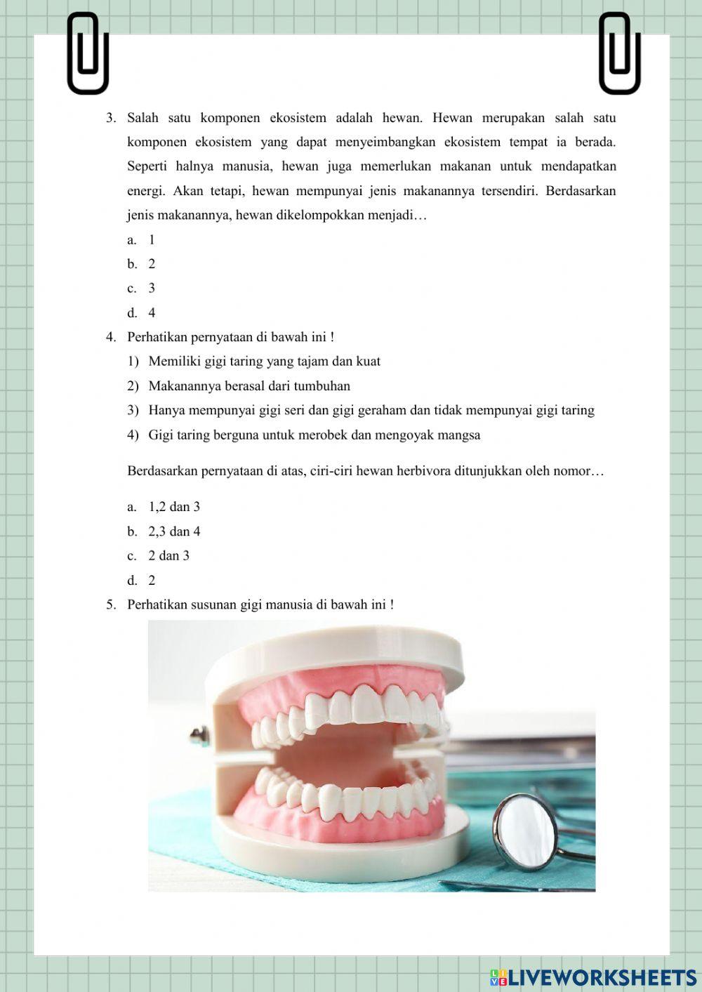 Lks interaktif sains