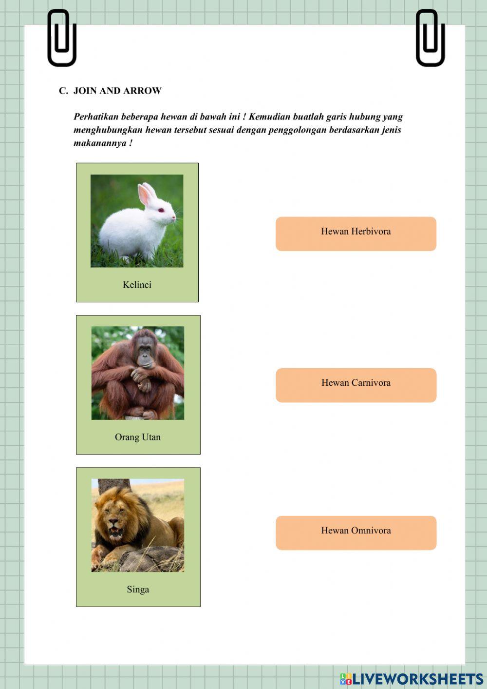 Lks interaktif sains