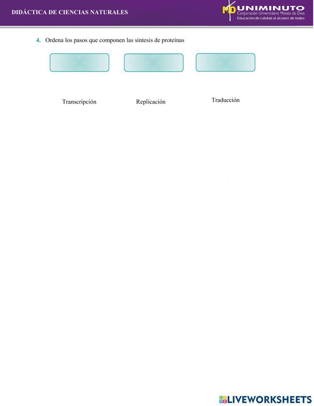 Síntesis de proteínas