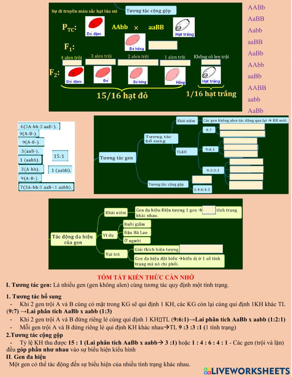 Bài 10 TƯƠNG TÁC GEN VÀ TÁC ĐỘNG ĐA HIỆU CỦA GEN