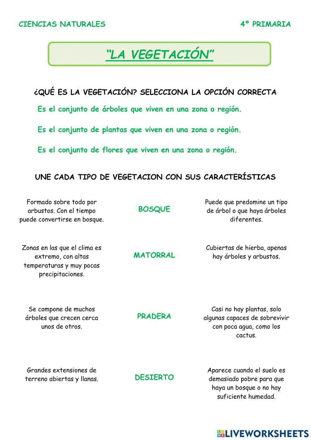 La vegetación La vegetación