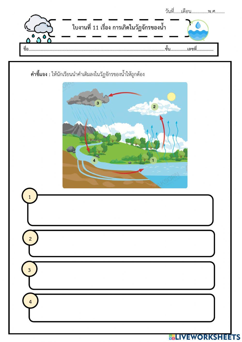 11 การเกิดในวัฏจักรของน้ำ