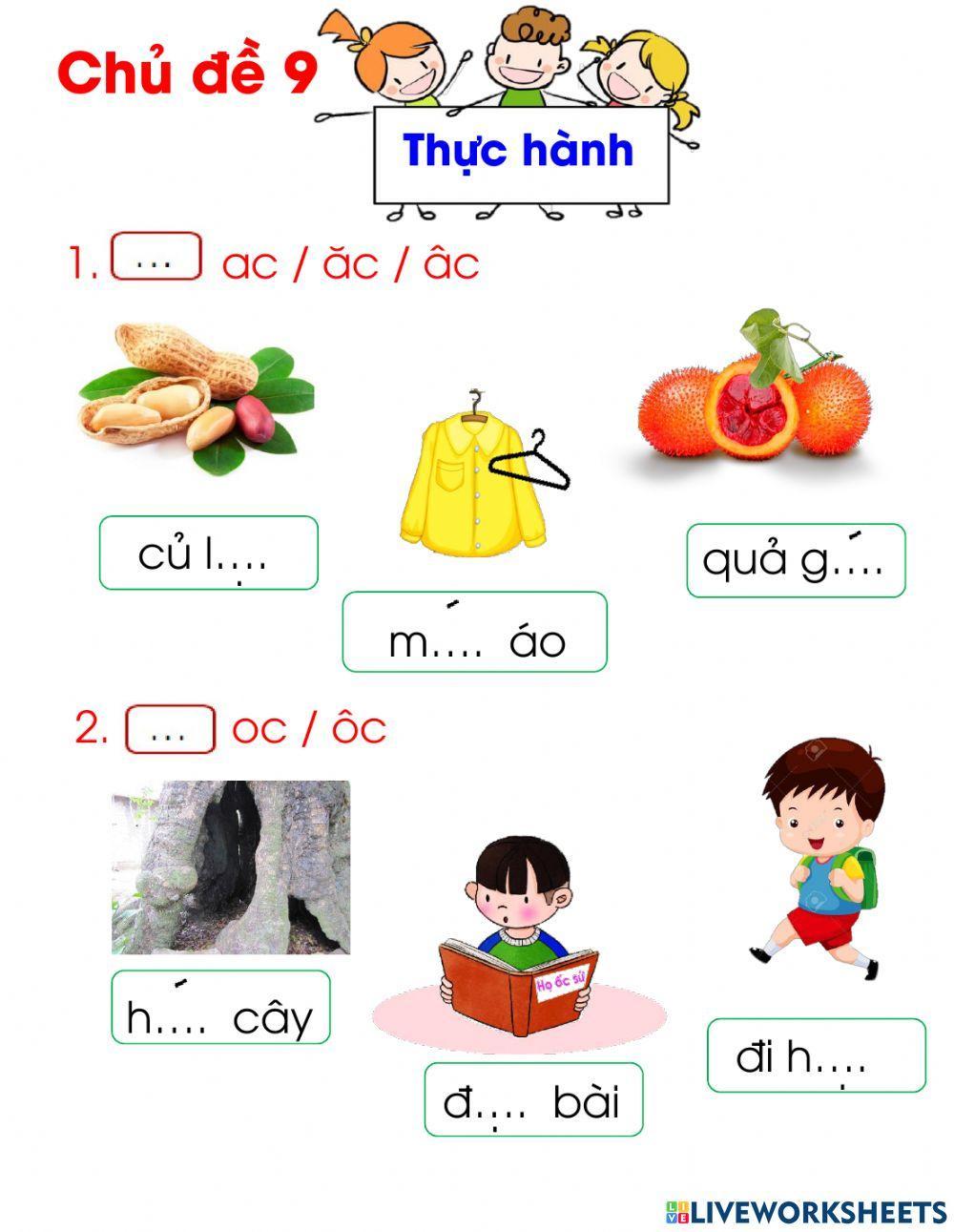 CDD9 Bài Thực hành