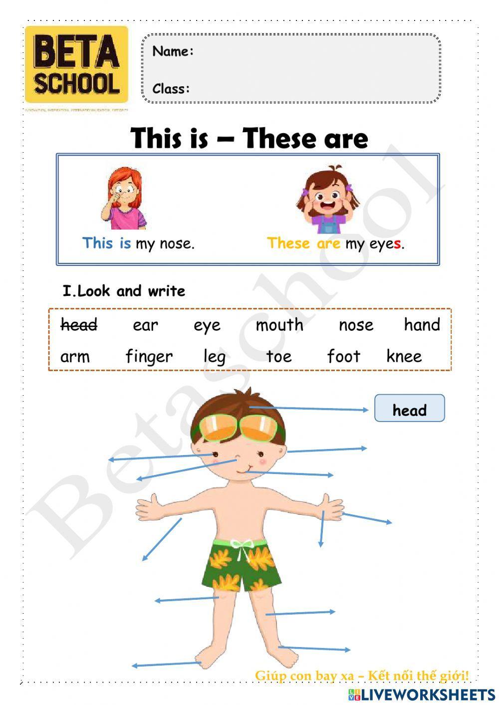 1A - Body parts This is-These are - TOPIC 1