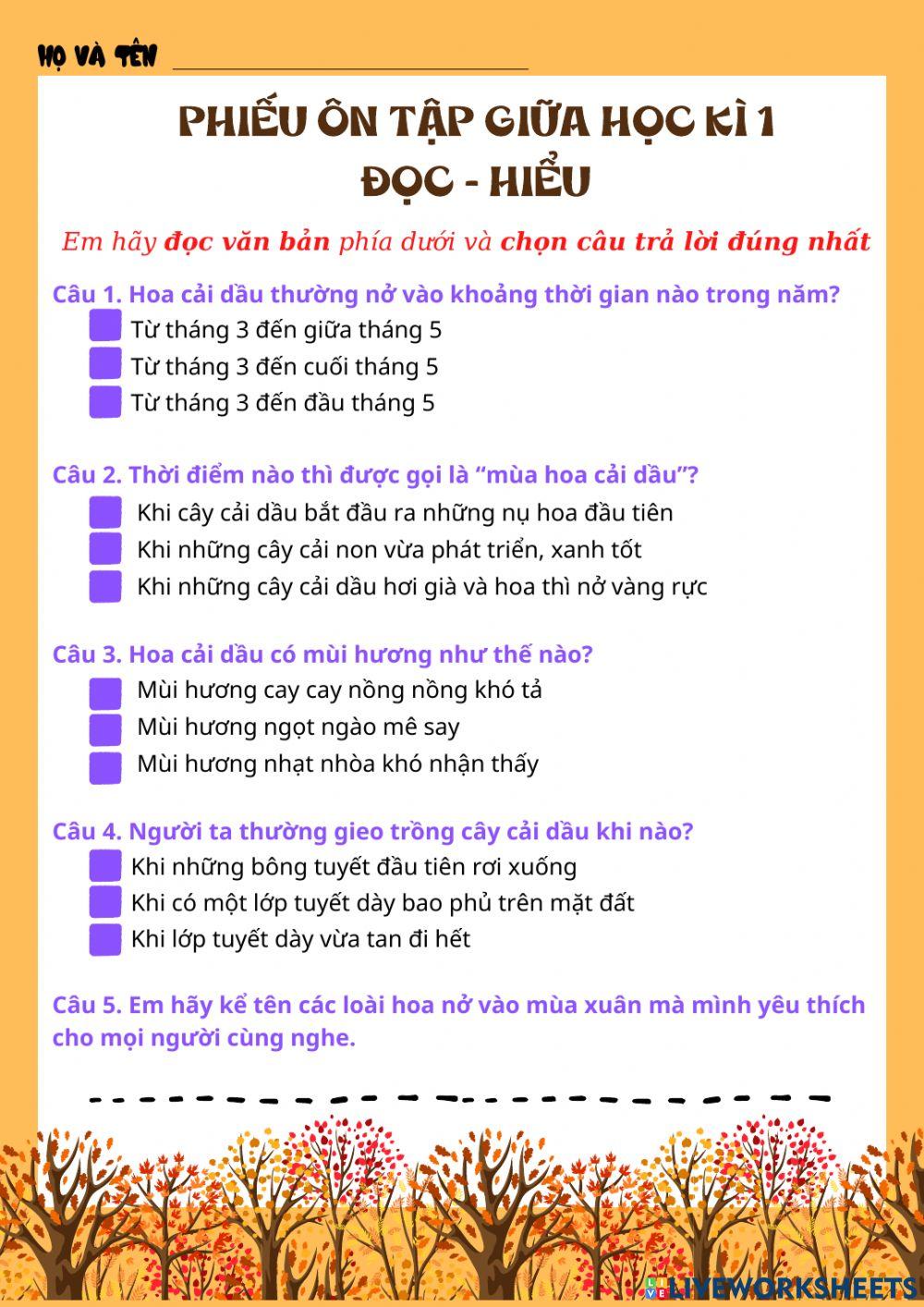 PHIẾU ÔN TẬP GHK1 (đọc - hiểu)