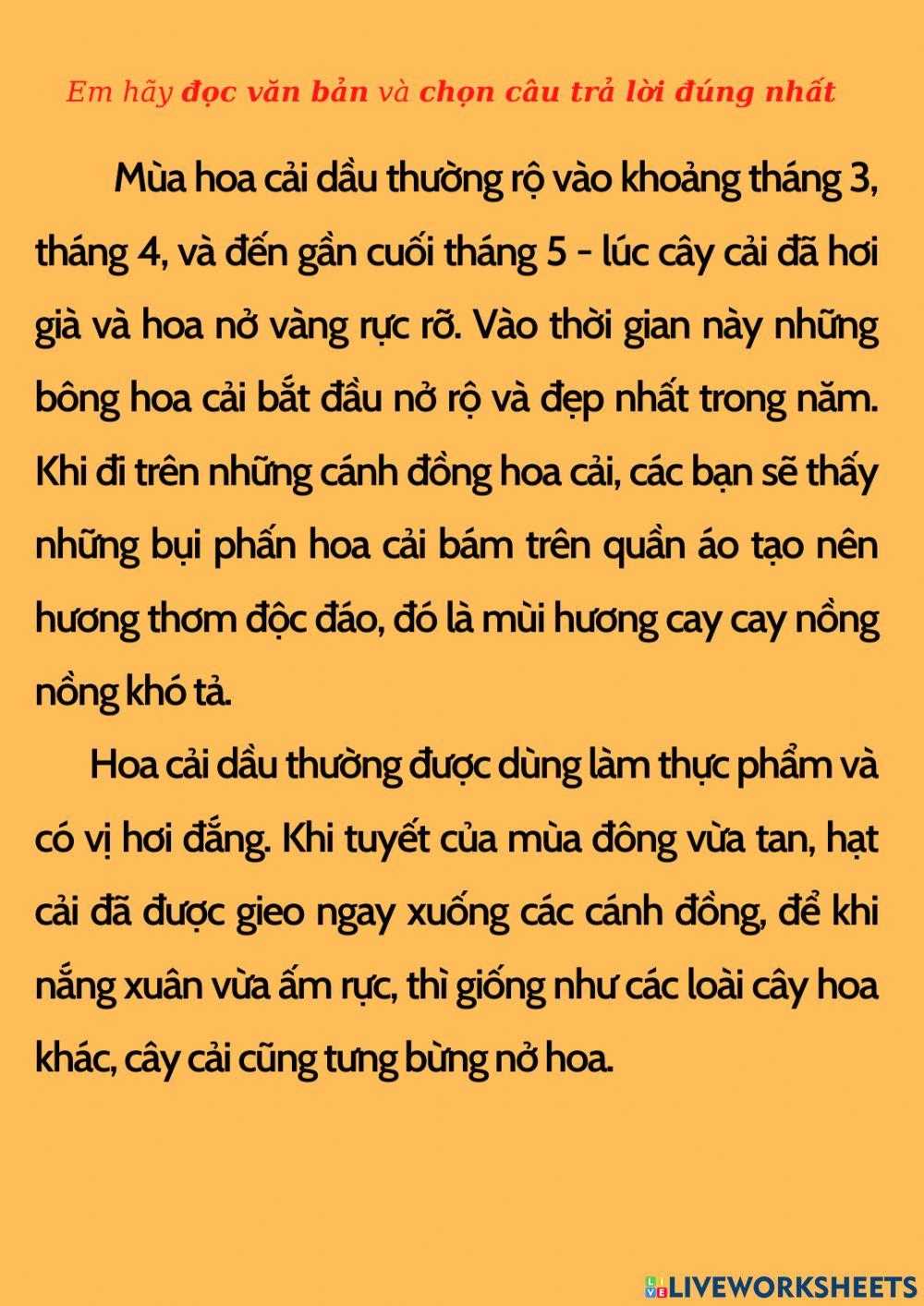 PHIẾU ÔN TẬP GHK1 (đọc - hiểu)