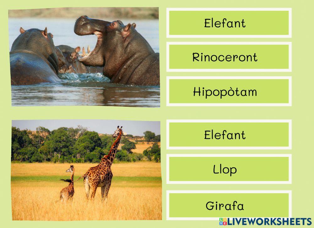 Lectoescritura Animals