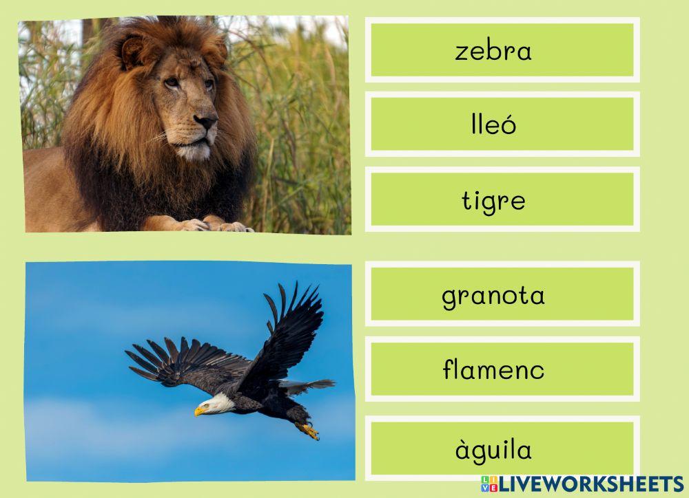 Lectoescritura Animals