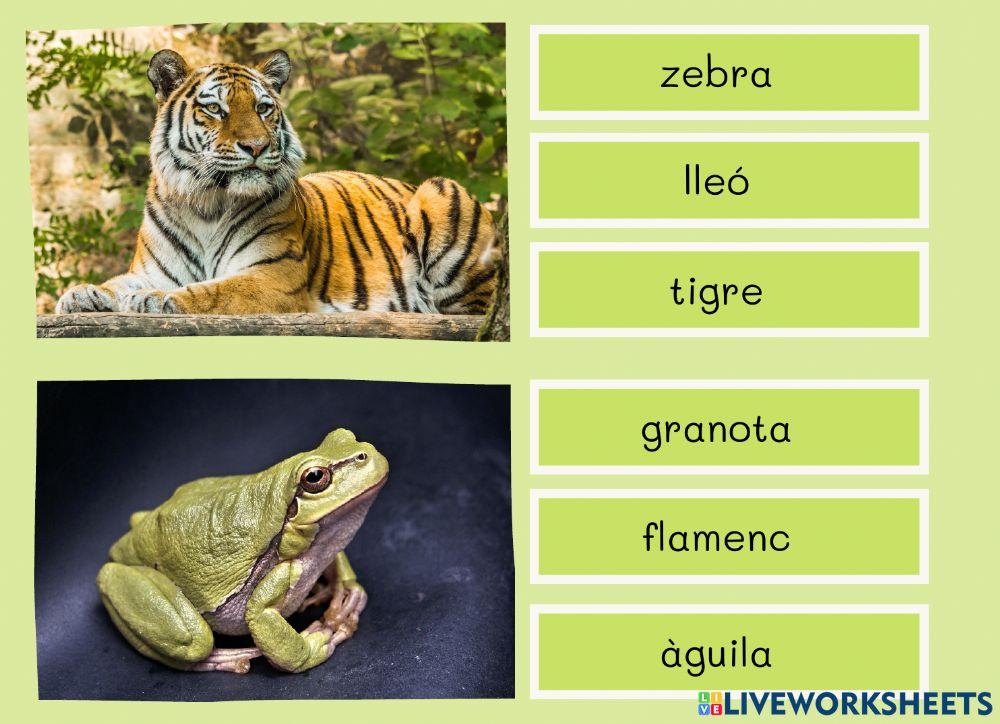 Lectoescritura Animals