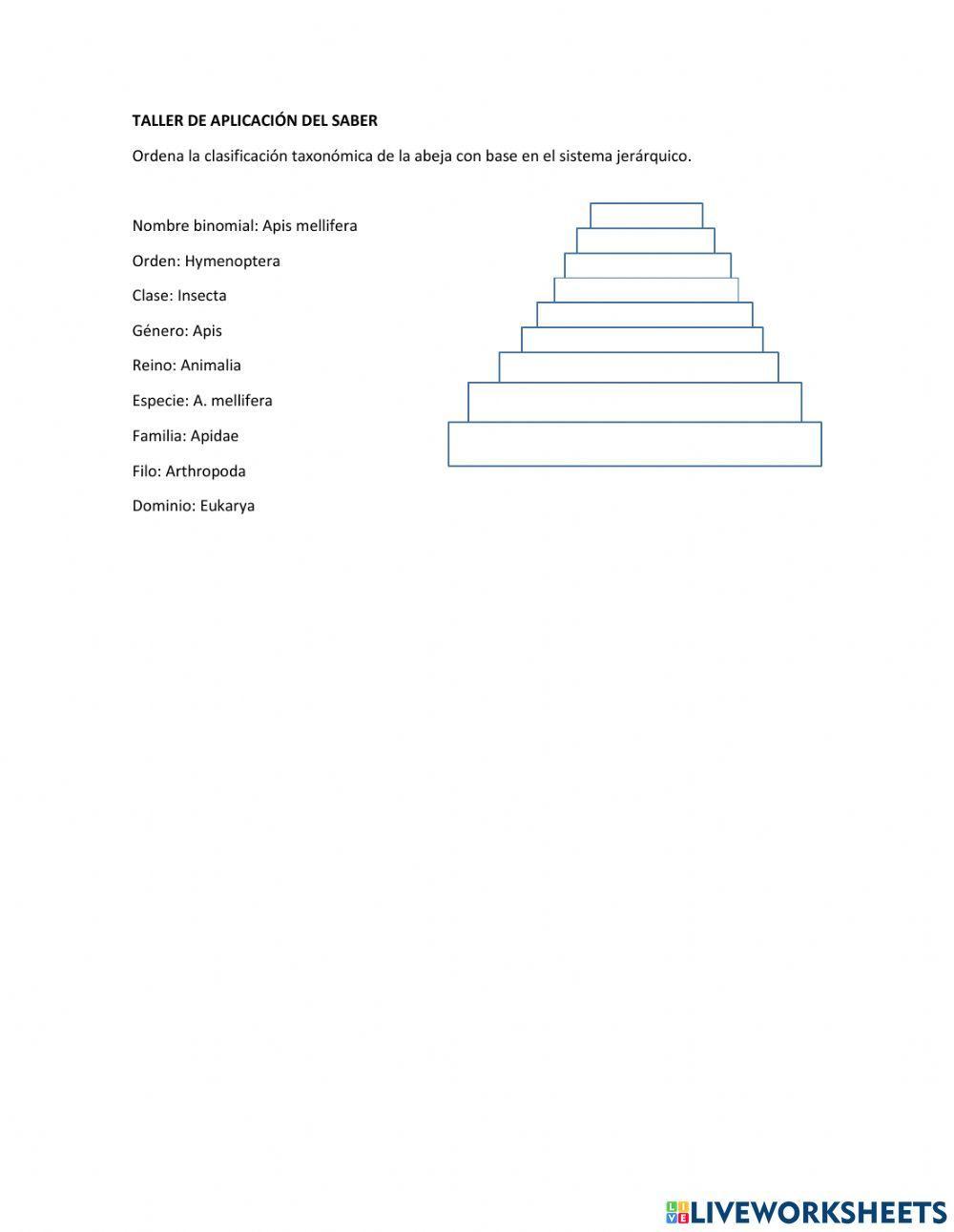 Clasificacion taxonomica