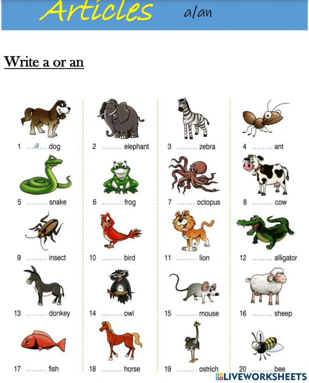 Animals ( A or AN)