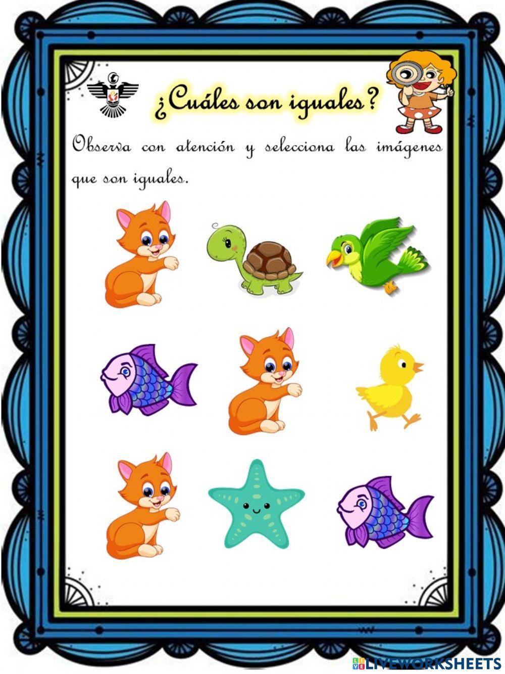 ¿Cuáles son iguales?