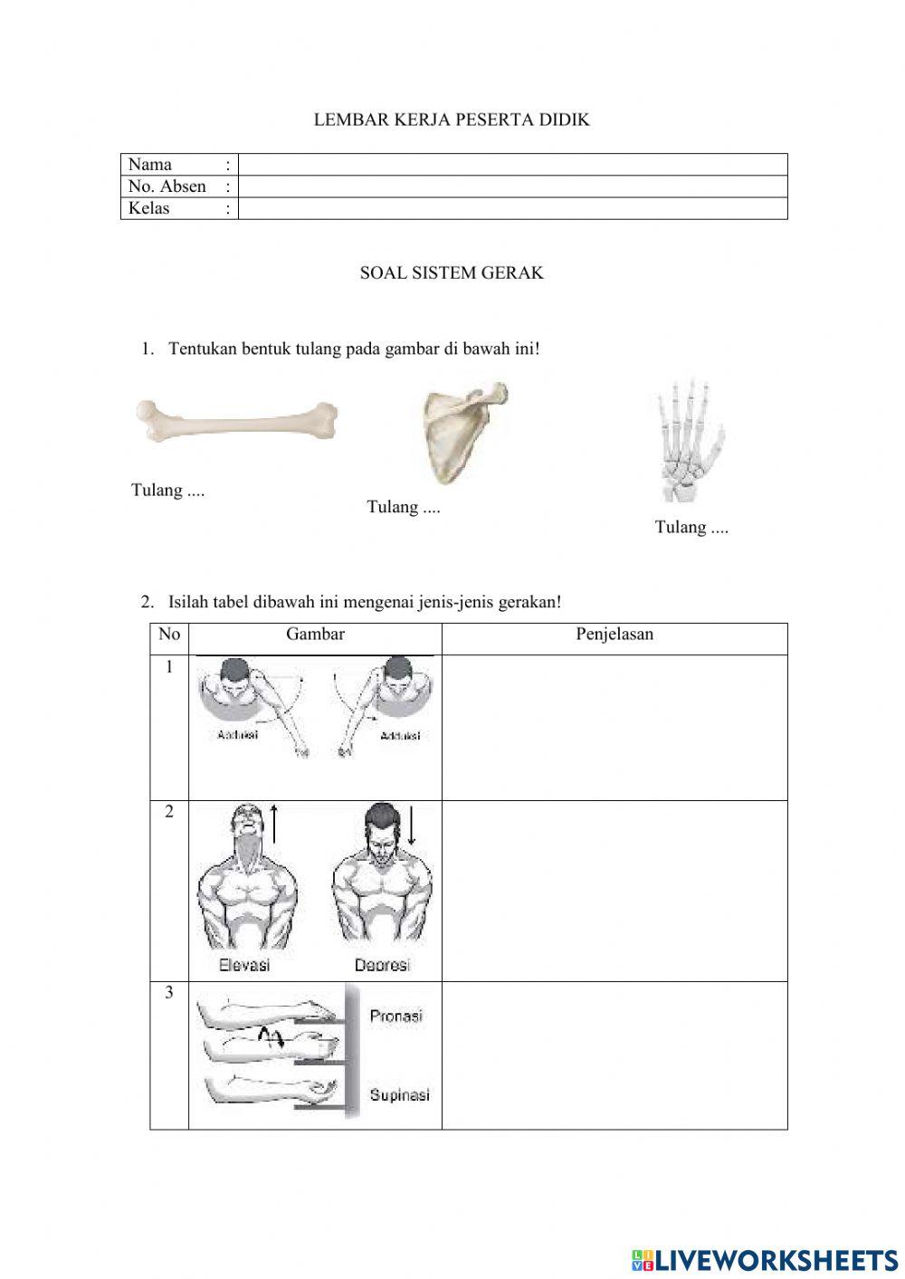 Lkpd sistem gerak dan sirkulasi