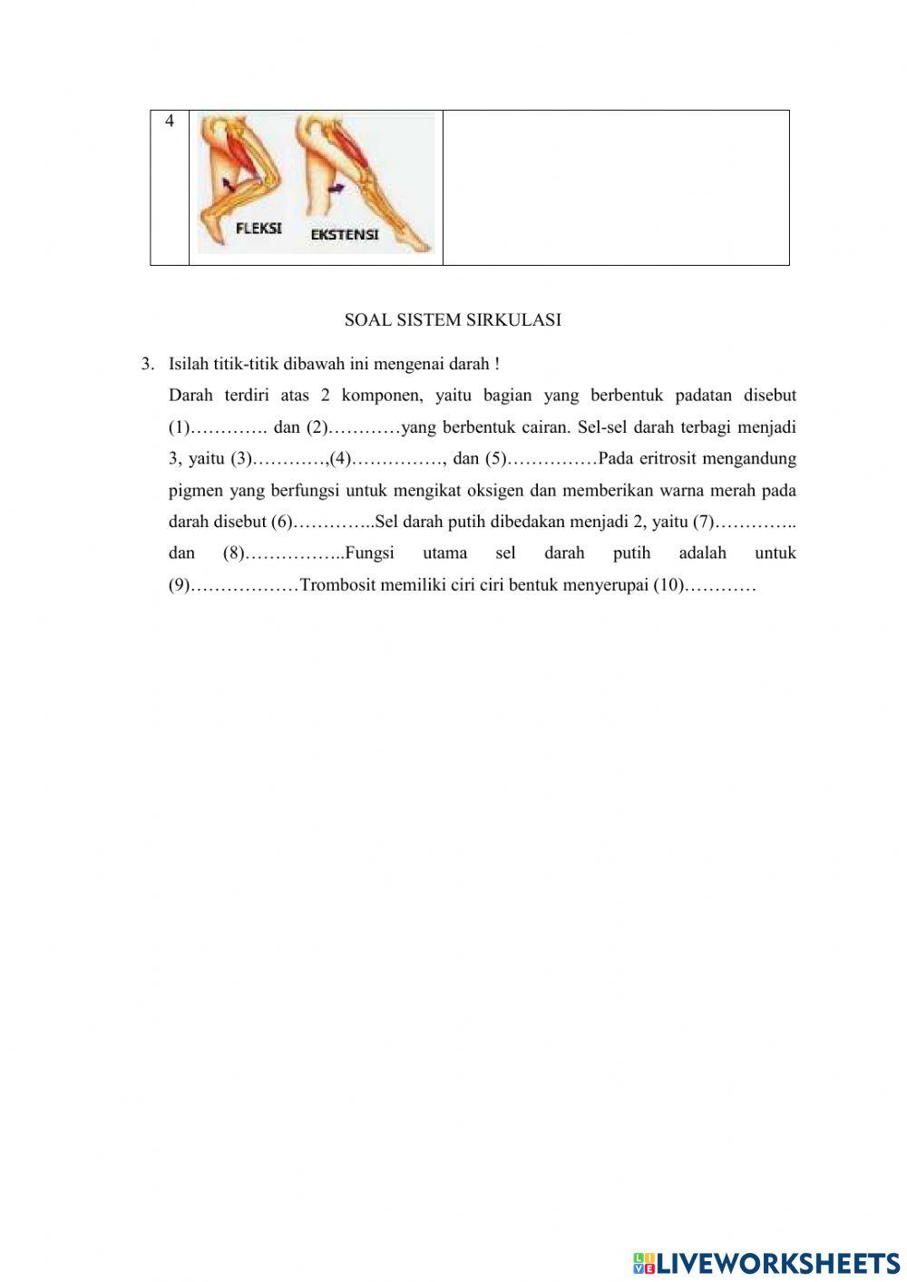 Lkpd sistem gerak dan sirkulasi