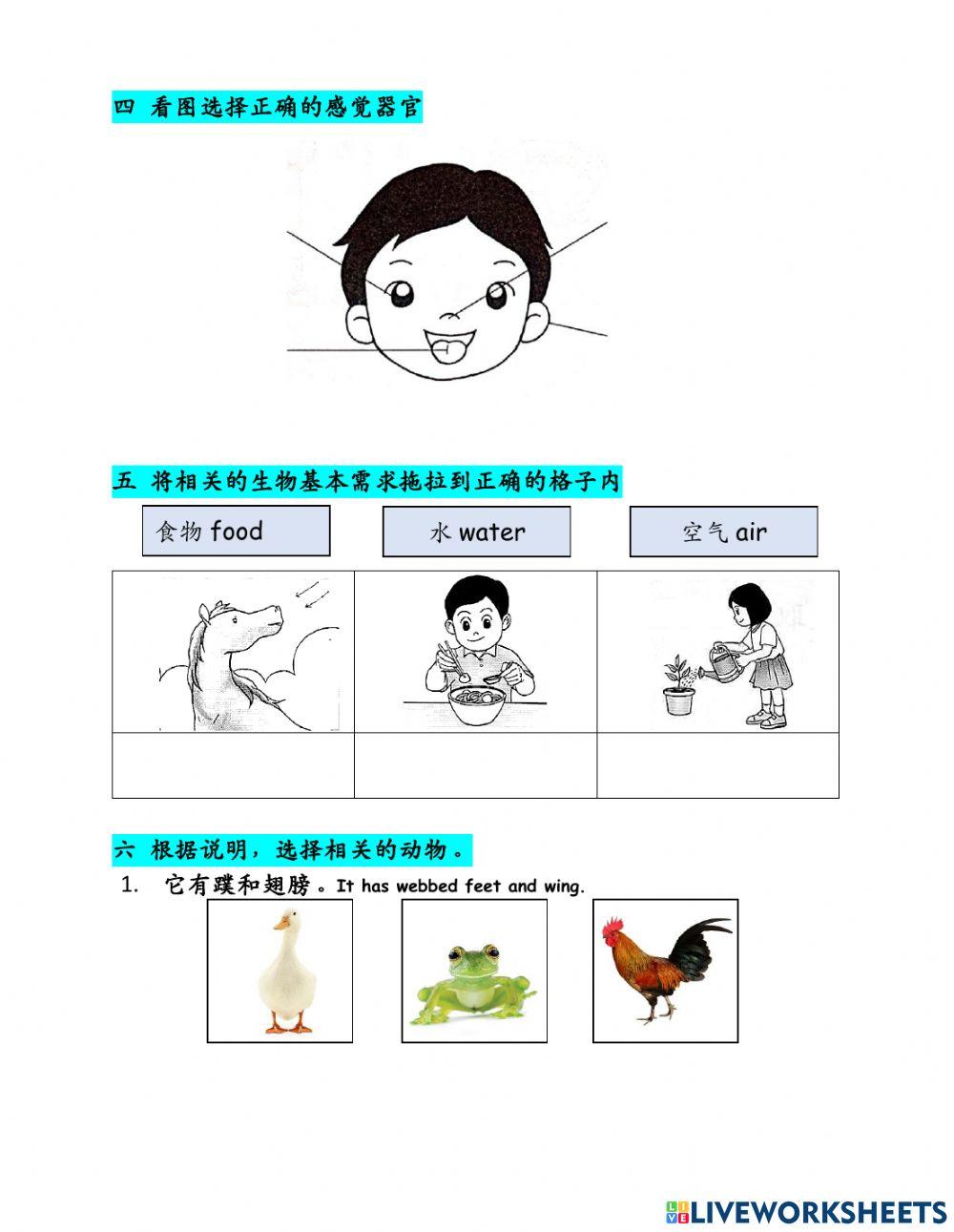 一年级科学总评估