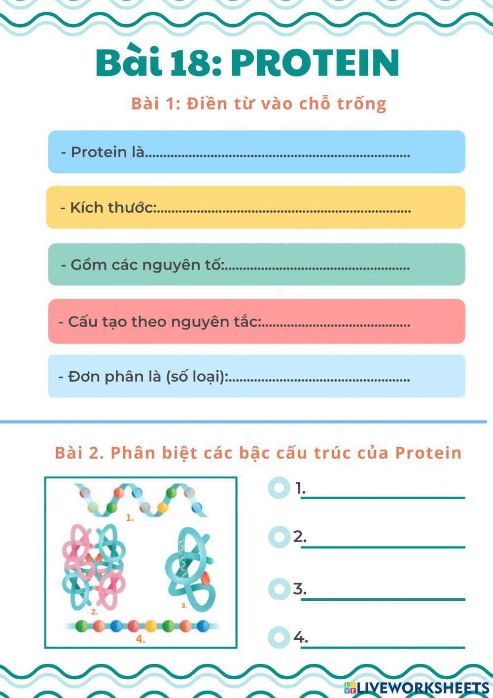 Bài 18. Protein