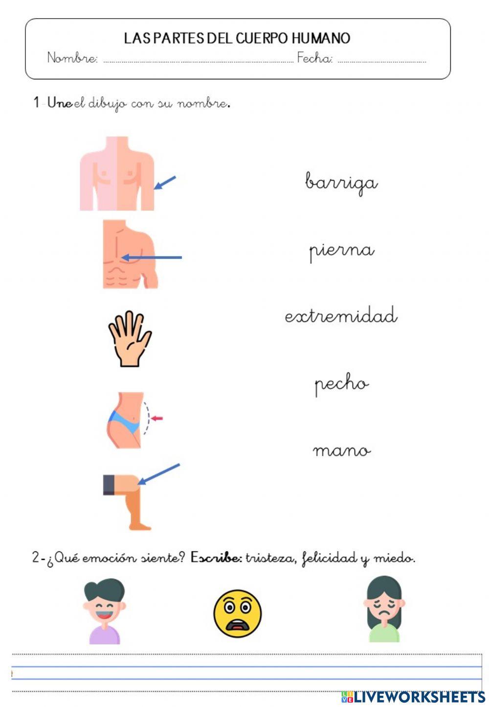 Partes del cuerpo y emociones