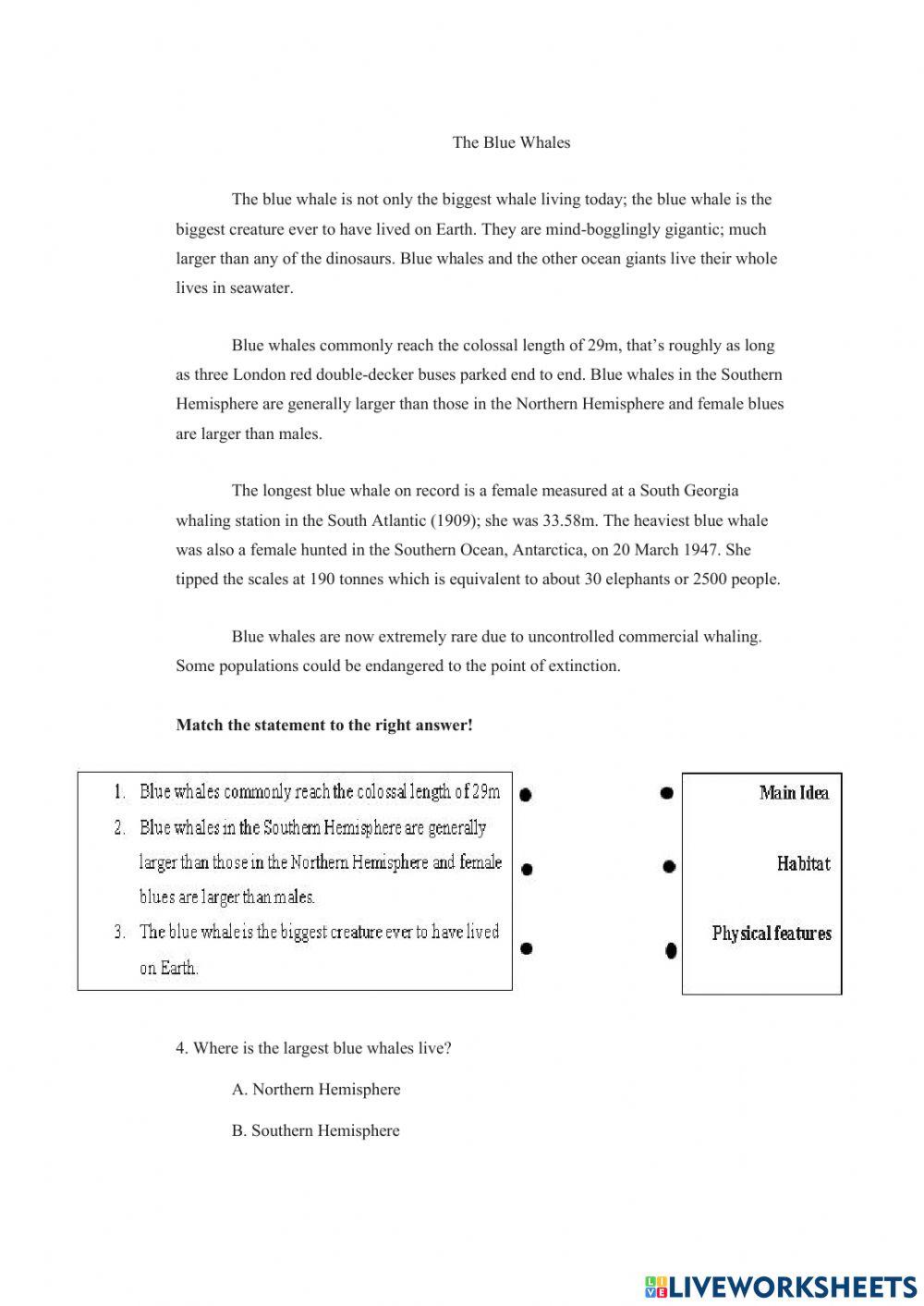 Report Text English language activity | Live Worksheets
