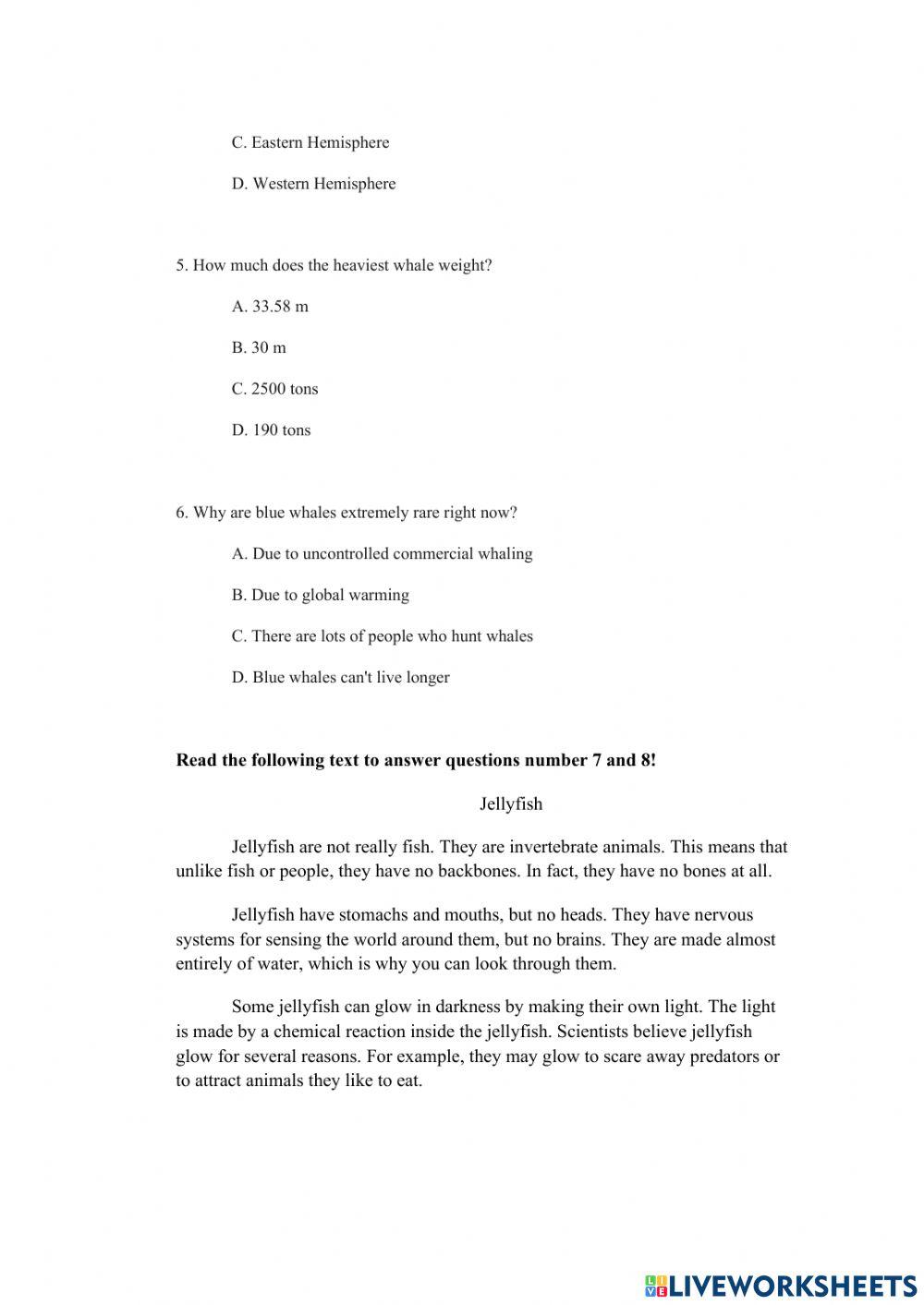 Report Text English language activity | Live Worksheets
