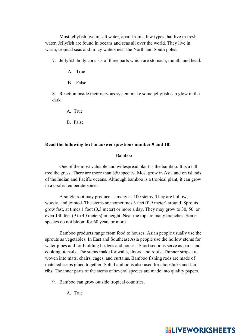 Report Text English language activity | Live Worksheets