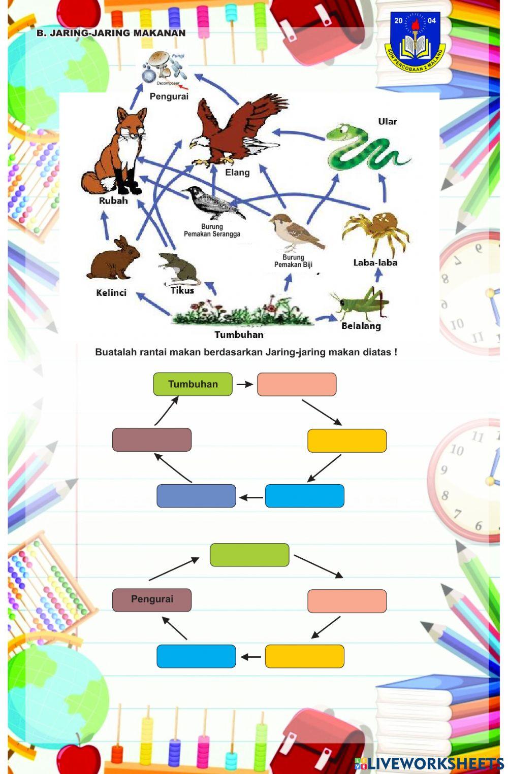 LKPD T5S3 Jaring makanan