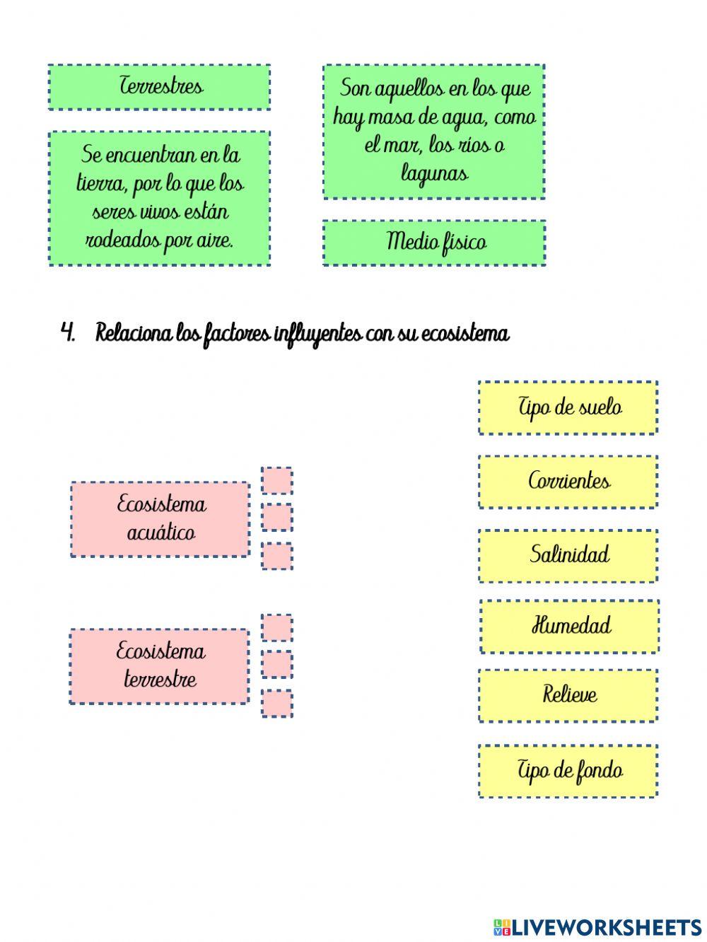 Medio ambiente y ecosistema