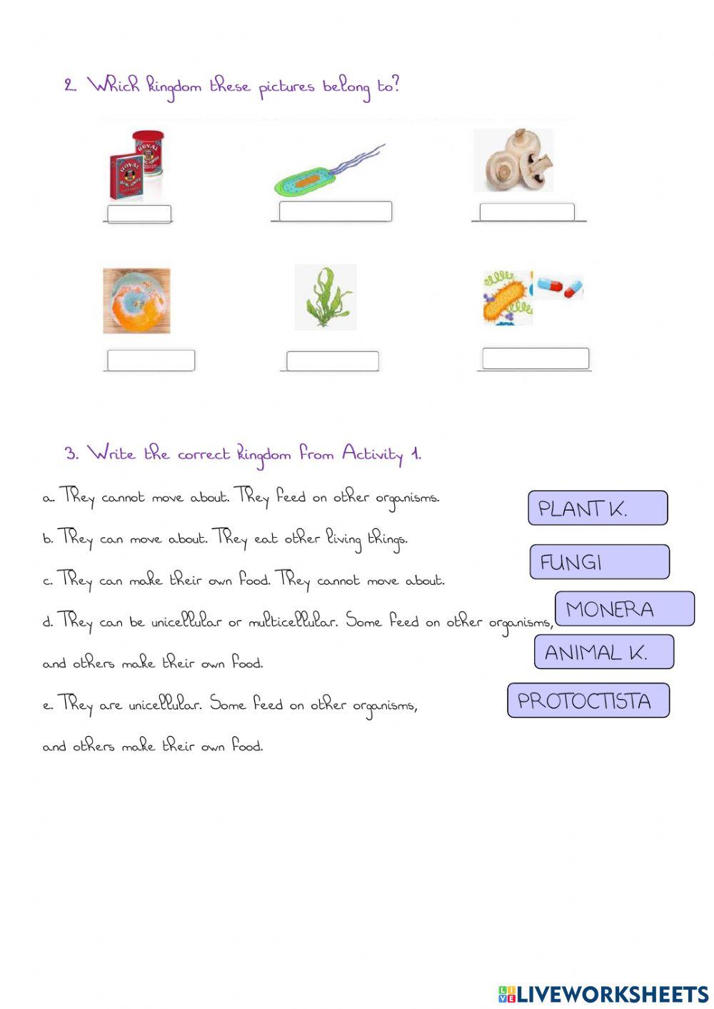 Classification of living things